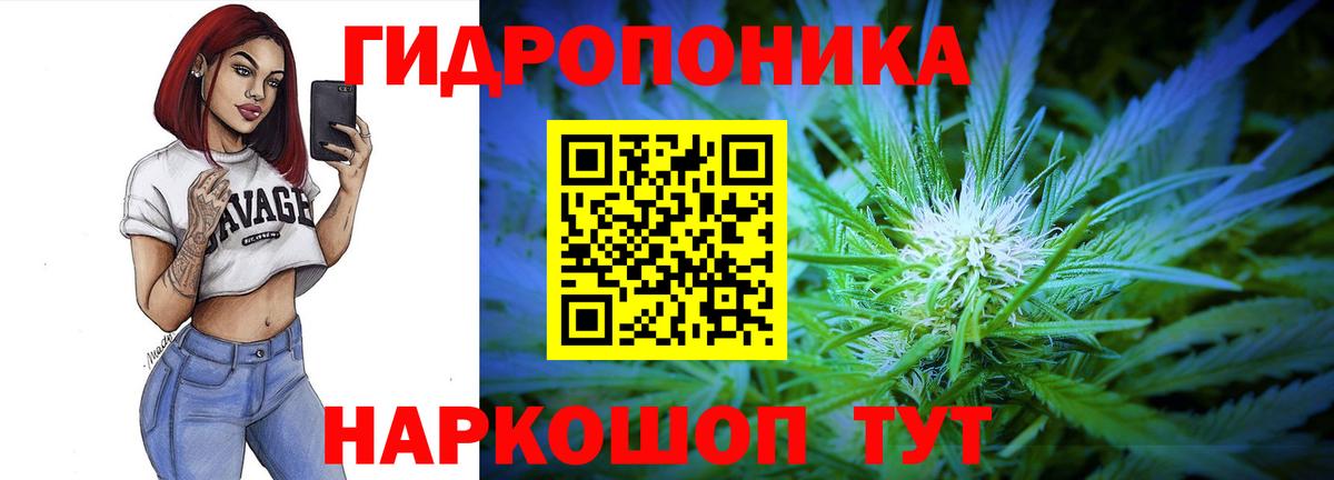 Бошки марихуана план  Бошки Шишки Bruce Banner  Бошки Шишки AK-47  Вход с VPN  Минеральные Воды 